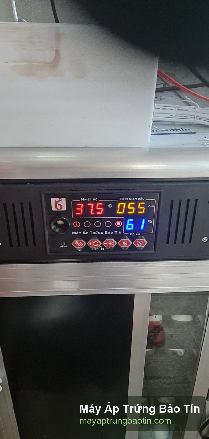 Bảng điều khiển máy ấp trứng Bảo Tín hiển thị 37.5°C và độ ẩm 61%