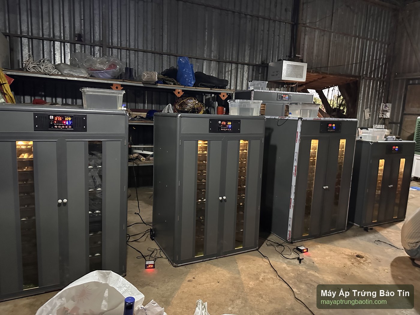 Nhiều tủ máy ấp trứng công nghiệp Bảo Tín đang chạy với đèn soi
