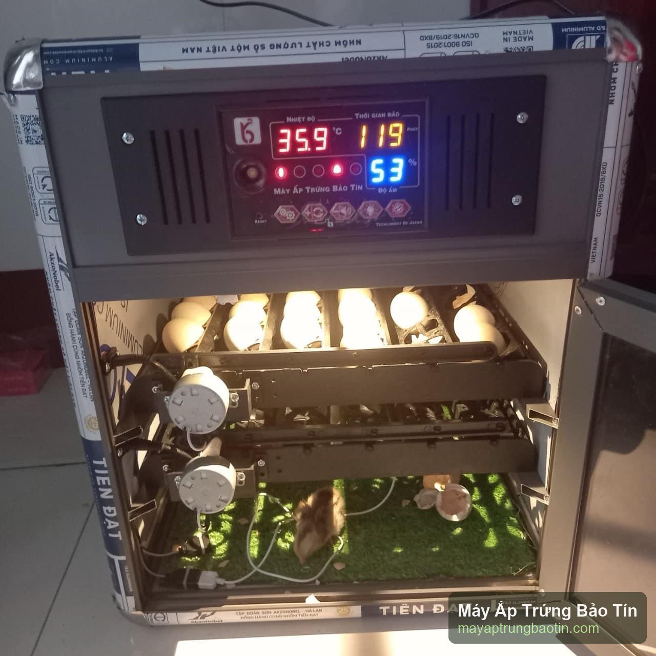 Máy ấp trứng Bảo Tín đang vận hành tại nhà khách hàng