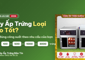 May ap trung loai nao tot - so sanh cong suat 30 den 3000 trung Bao Tin 2026