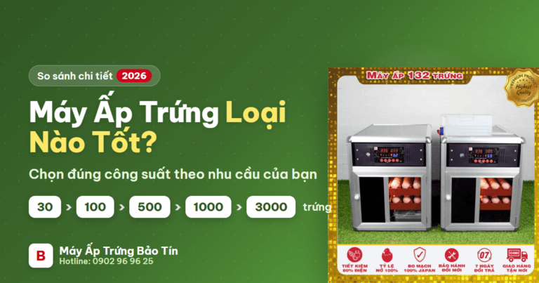 May ap trung loai nao tot - so sanh cong suat 30 den 3000 trung Bao Tin 2026