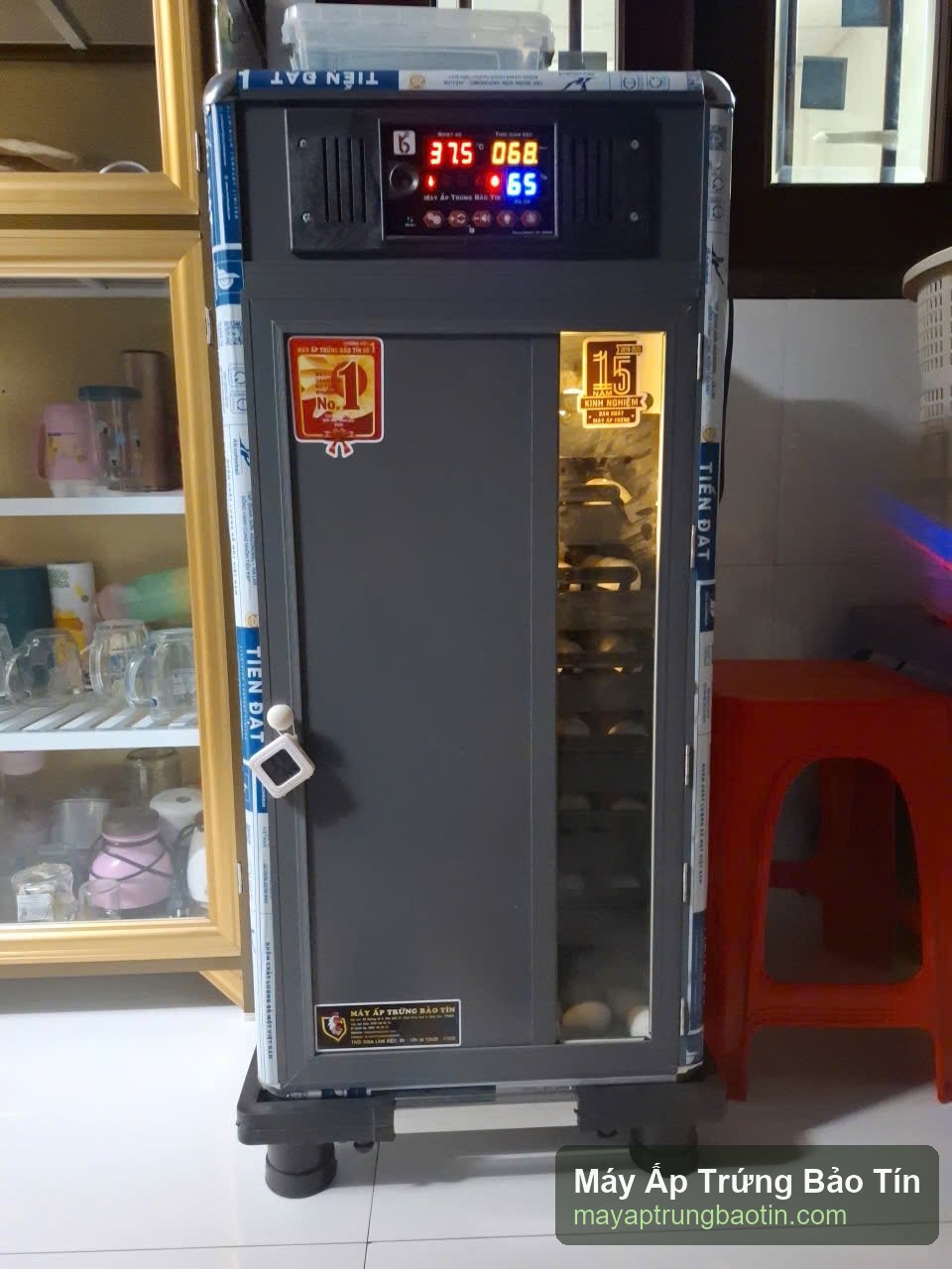 Trứng gà xếp trong khay ấp máy ấp trứng Bảo Tín
