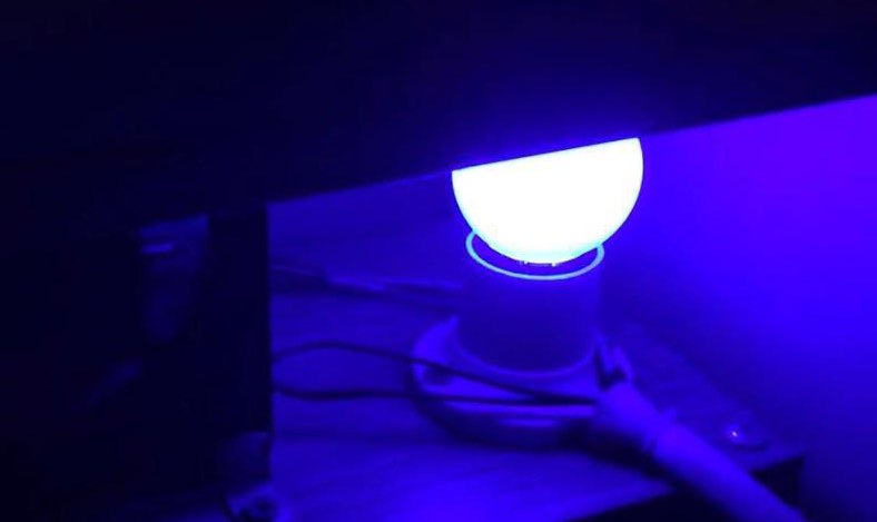Bóng đèn LED tròn phát sáng xanh tím lắp trong máy ấp trứng, bị nhầm là đèn UV diệt khuẩn