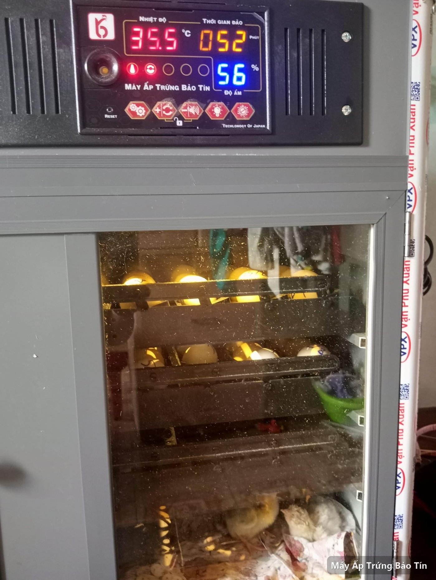 Bảng điều khiển máy ấp trứng Bảo Tín hiển thị nhiệt độ 35,5 độ C và độ ẩm 56% khi đang ấp tại nhà khách