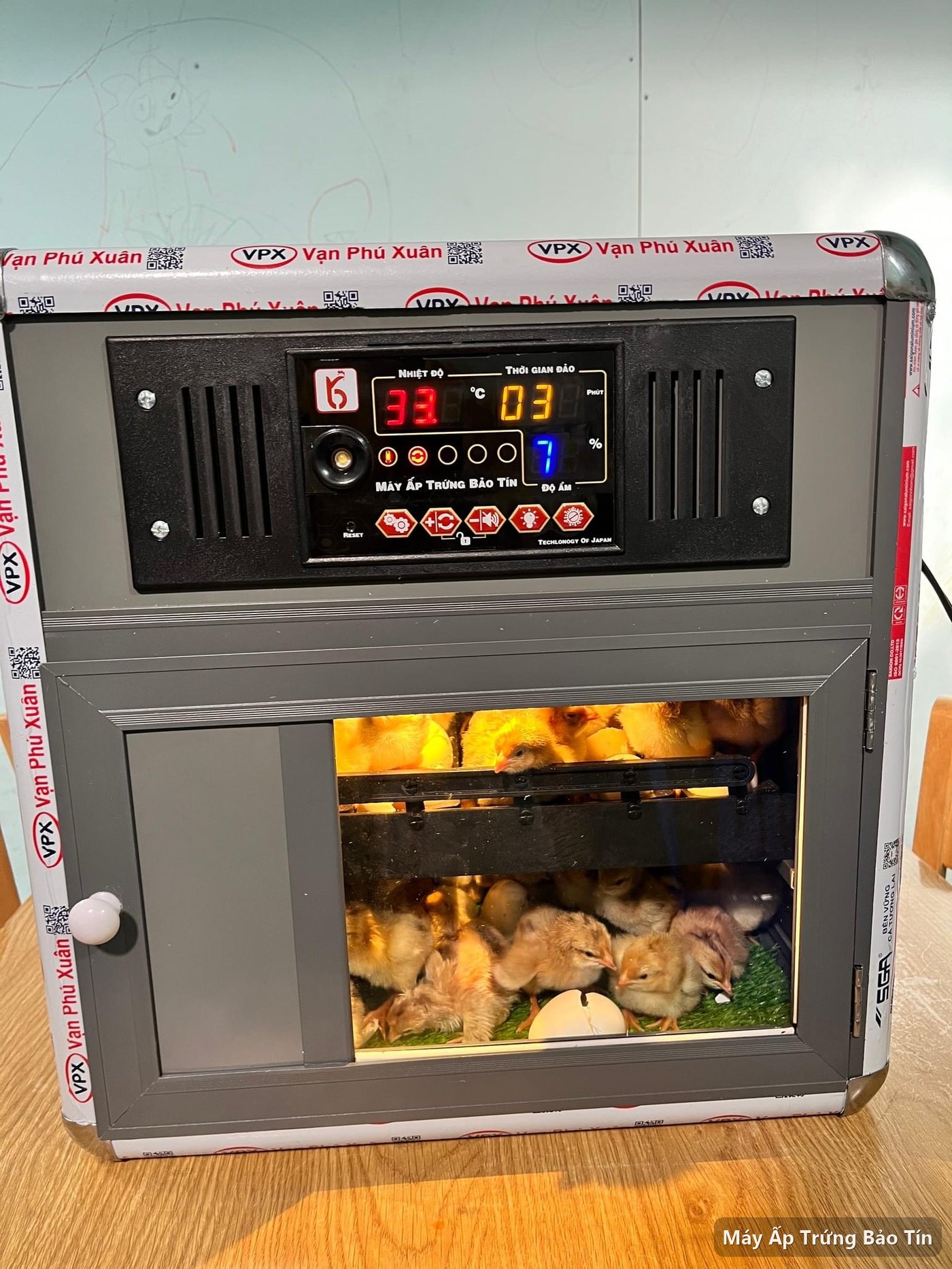 Máy ấp trứng Bảo Tín PLUS-66 đầy gà con mới nở ở cả hai tầng, panel hiện 33°C