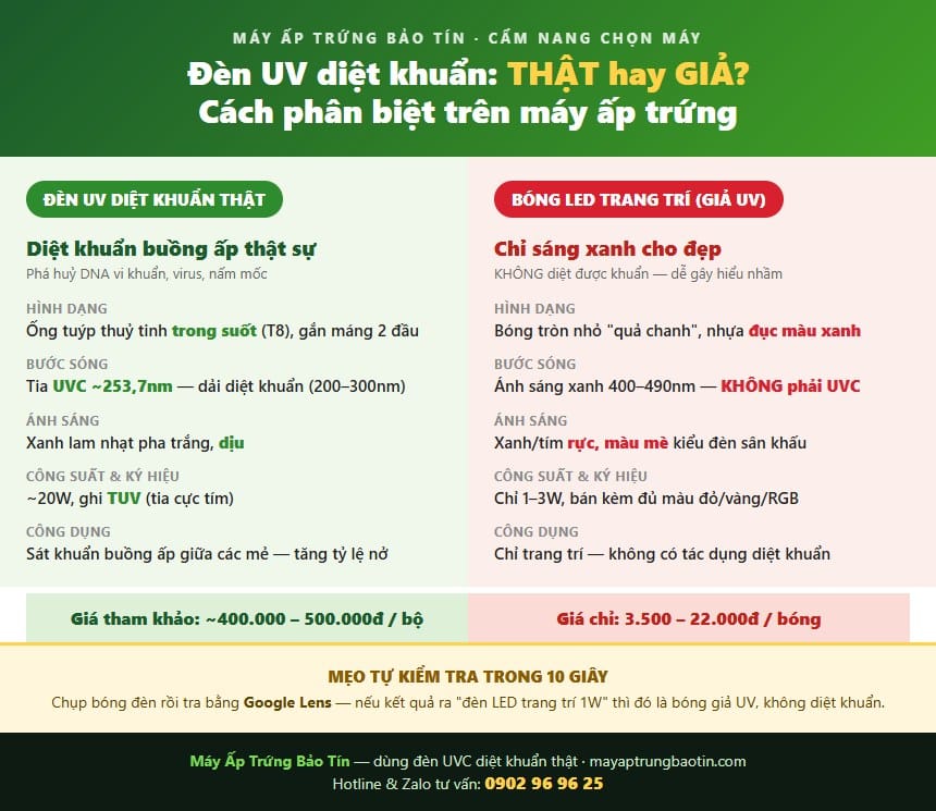 Infographic phân biệt đèn UV diệt khuẩn thật và bóng LED trang trí giả trên máy ấp trứng